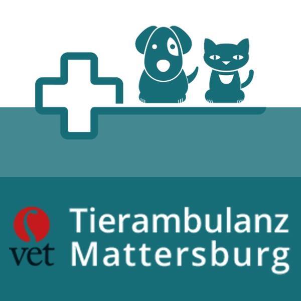 Infinity Business Network - Tierambulanz Mattersburg